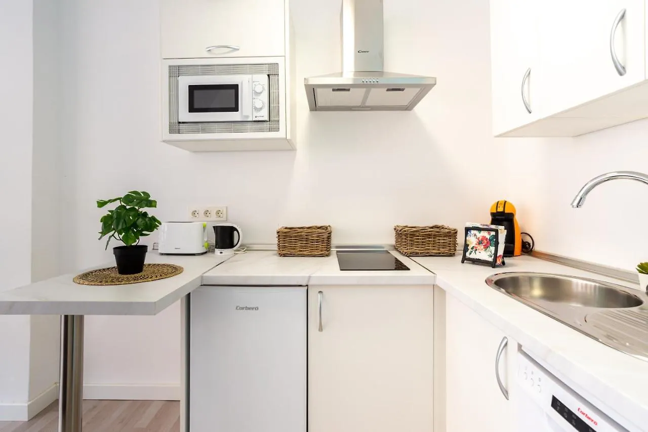 Malaga Centro Apartment